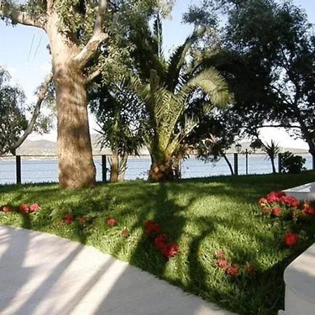 Tzeni 公寓 利吉亚