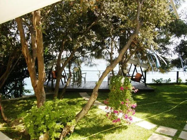 Tzeni